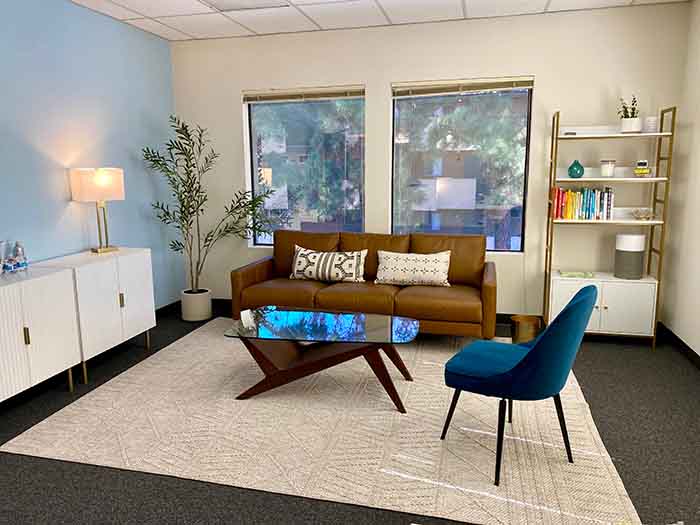 Warm and bright interior of Dr. Emily Kruger's clinical psychology office in Fremont, CA